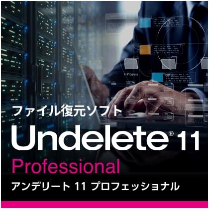 Undelete 11 Professional